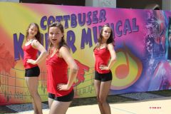 201400706_CKM_Sommerfest_2014_011