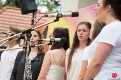 2017-07-16-cottbuser-kindermusical-sommerfest-2017-143_35986137795_o