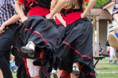 2017-07-16-cottbuser-kindermusical-sommerfest-2017-318_35815222132_o