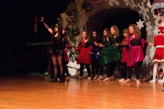 2017-12-17-Cottbuser-Kindermusical-Wenn-der-Weihnachtsmann-im-Urlaub-ist-078