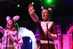 2017-12-17-Cottbuser-Kindermusical-Wenn-der-Weihnachtsmann-im-Urlaub-ist-107